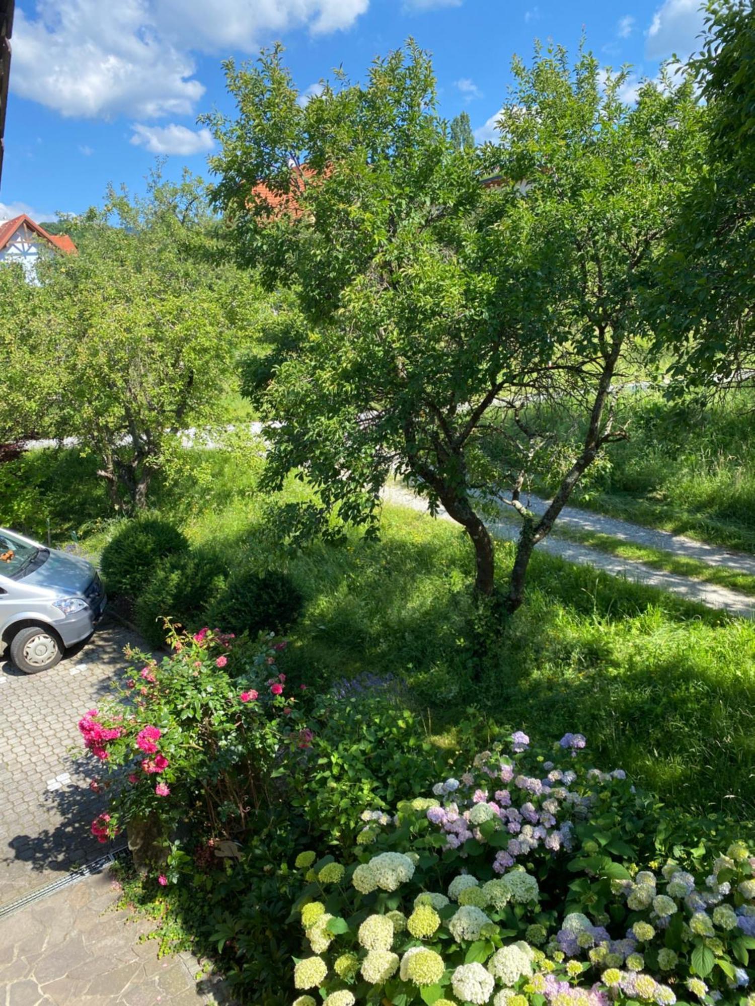 Landhaus Grete Stubenberg Esterno foto