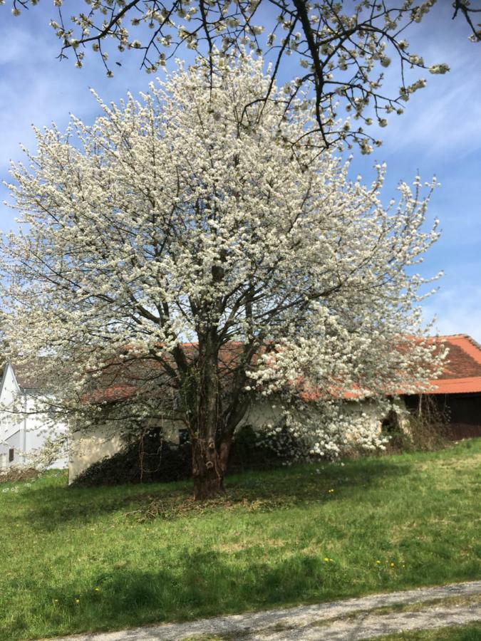 Landhaus Grete Stubenberg Esterno foto